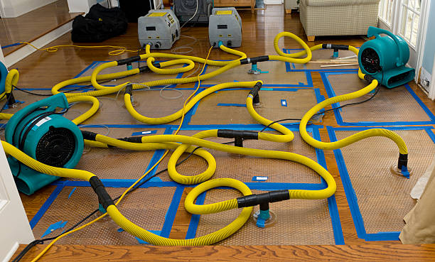 Professional Water Extraction technician working in Carey, OH